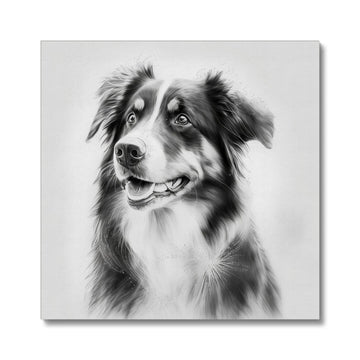 Australian Shepherd 'Charcoal Collection' Canvas