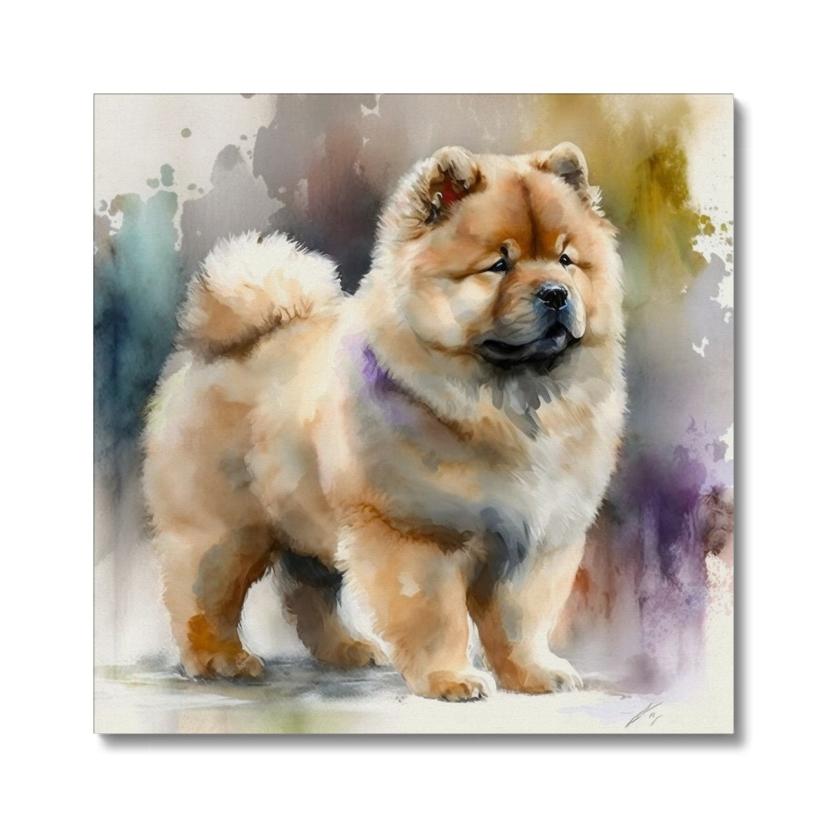 Chow chow hotsell pet shop