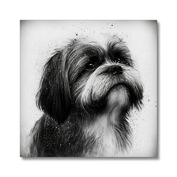 Shih Tzu 'Charcoal Collection' Canvas