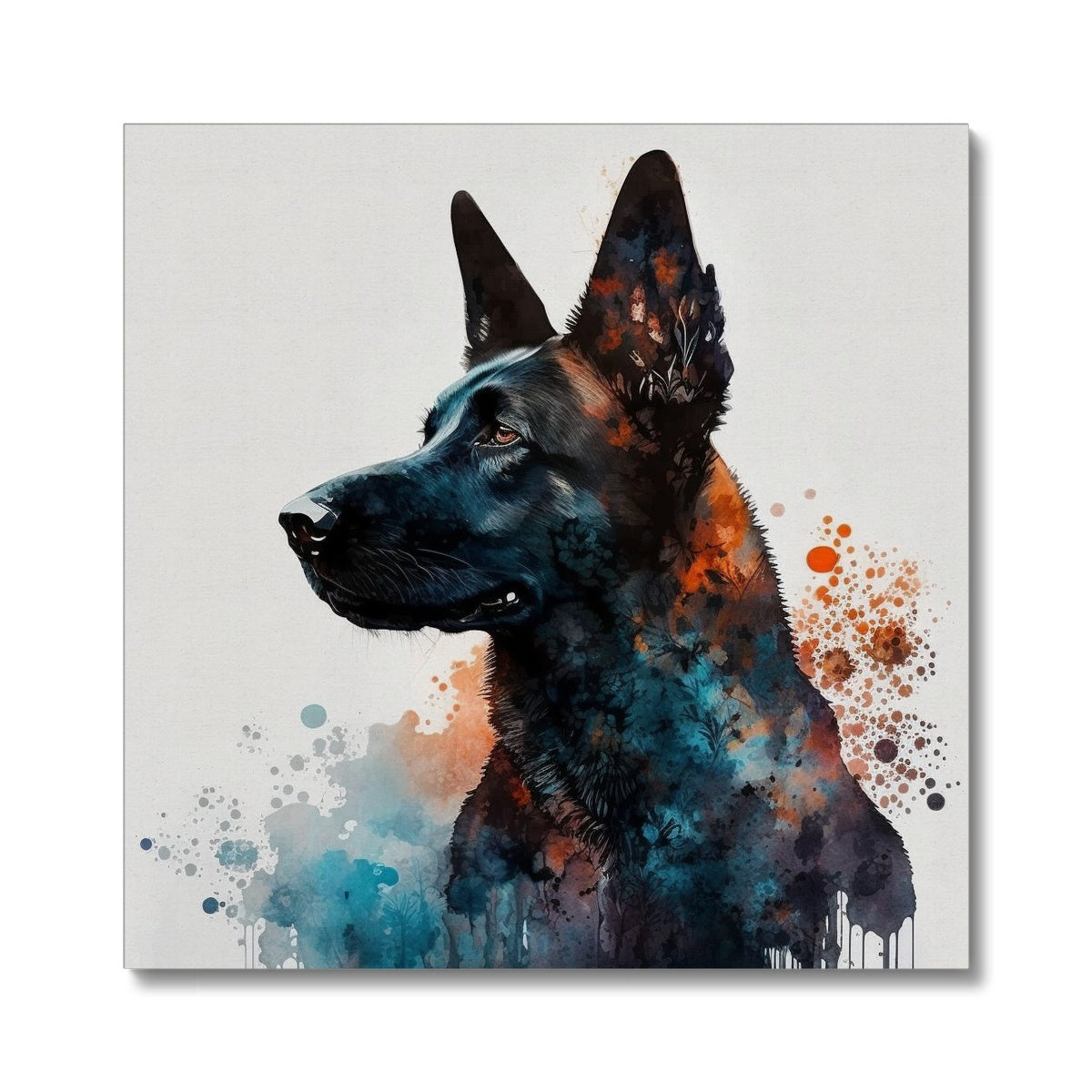 Belgian Malinois 'Watercolour Collection' Canvas