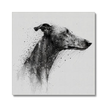 Greyhound 'Charcoal Collection' Canvas