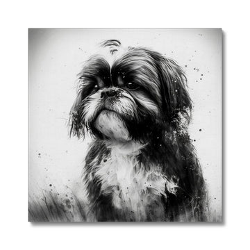 Shih Tzu 'Charcoal Collection' Canvas