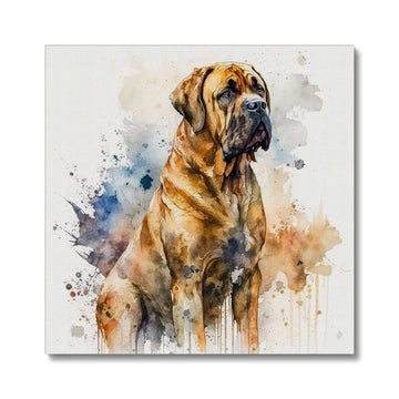 Boerboel Pet Portrait 'Watercolour Collection' Canvas