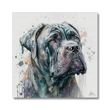 Cane Corso 'Watercolour Collection' Canvas