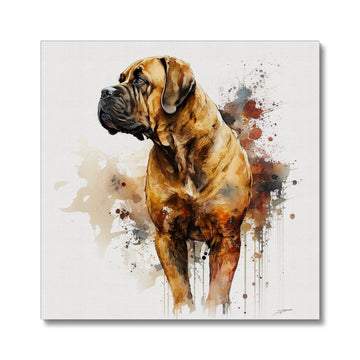 Boerboel Pet Portrait 'Watercolour Collection' Canvas