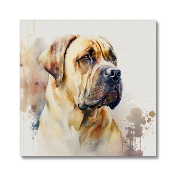 Boerboel Pet Portrait 'Watercolour Collection' Canvas