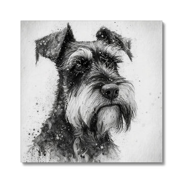 Miniature Schnauzer 'Charcoal Collection' Canvas