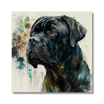 Cane Corso 'Watercolour Collection' Canvas