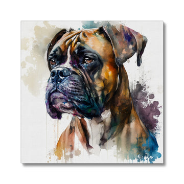 Boxer 'Watercolour Collection' Canvas