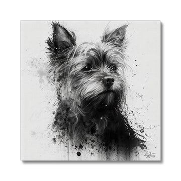 Yorkshire Terrier 'Charcoal Collection' Canvas