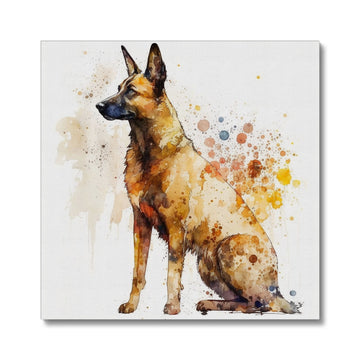 Belgian Malinois 'Watercolour Collection' Canvas