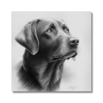 Labrador 'Charcoal Collection' Canvas