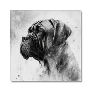 Bullmastiff 'Charcoal Collection' Canvas