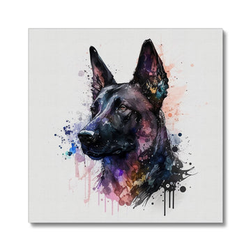 Belgian Malinois 'Watercolour Collection' Canvas