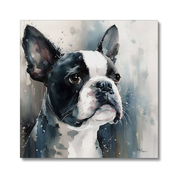 Boston Terrier 'Watercolour Collection' Canvas