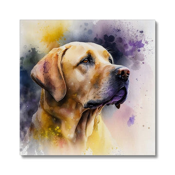 Labrador Retriever 'Watercolour Collection' Canvas