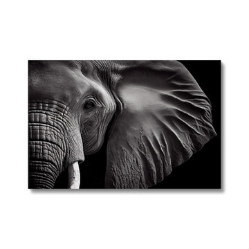 Elephant Landscape 'Black and White Collection' Canvas