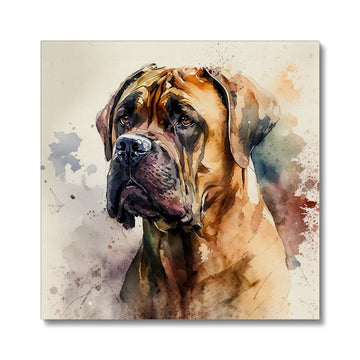 Boerboel Pet Portrait 'Watercolour Collection' Canvas