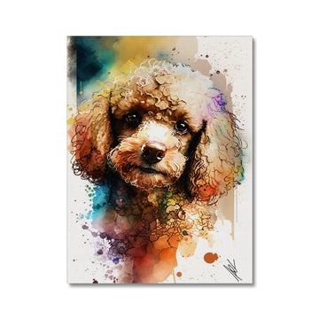 Toy Poodle 'Watercolour Collection' Canvas