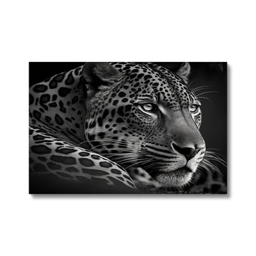 Jaguar Landscape 'Black and White Collection' Canvas