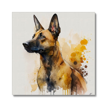 Belgian Malinois 'Watercolour Collection' Canvas