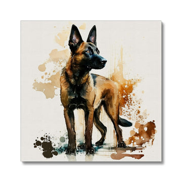 Belgian Malinois 'Watercolour Collection' Canvas