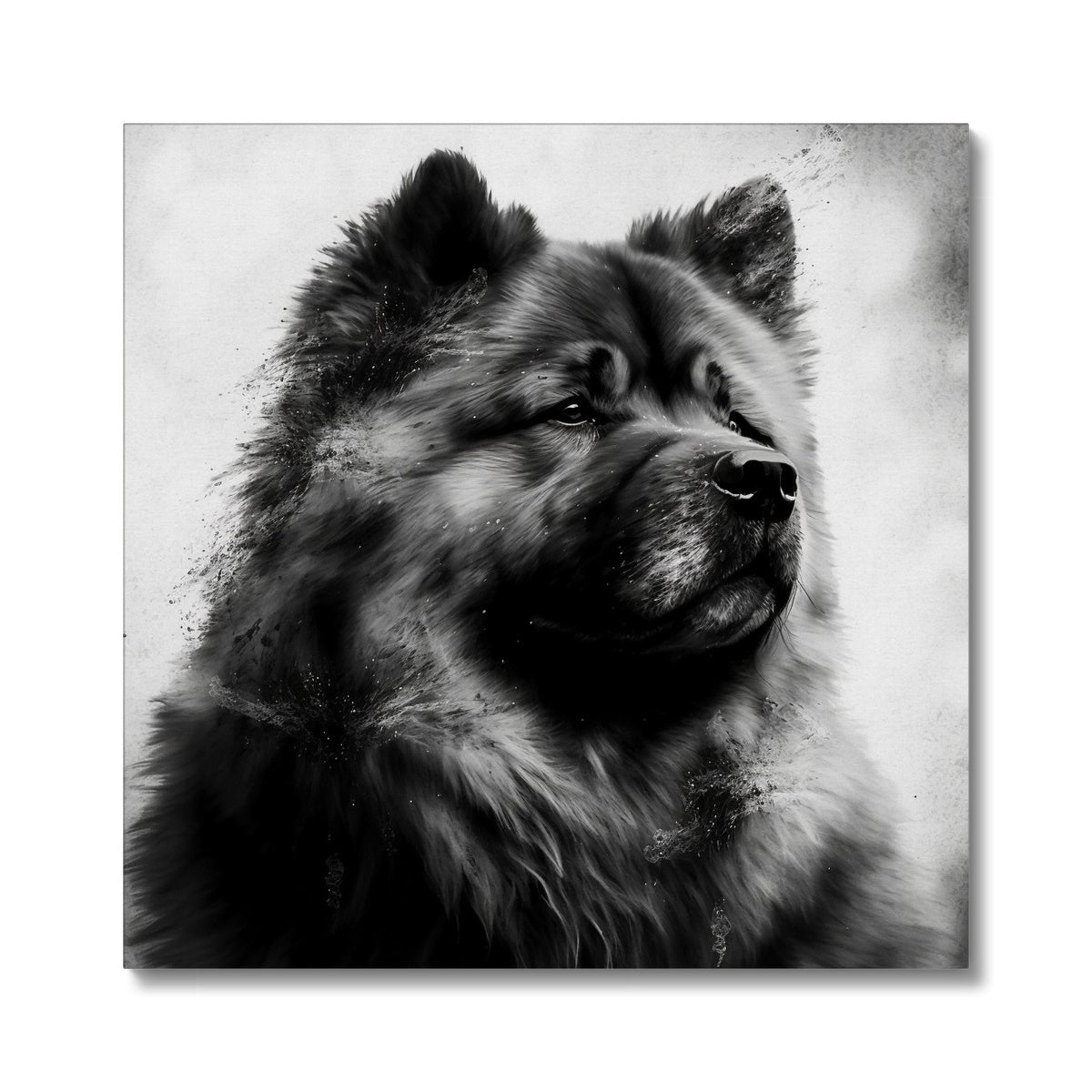 Chow Chow 'Charcoal Collection' Canvas