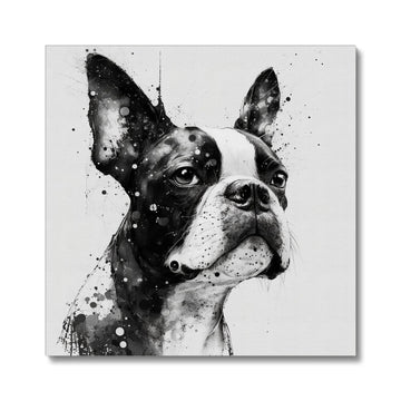 Boston Terrier 'Charcoal Collection' Canvas