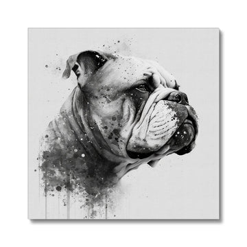 Bulldog 'Charcoal Collection' Canvas