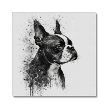 Boston Terrier 'Charcoal Collection' Canvas