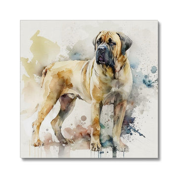 Boerboel Pet Portrait 'Watercolour Collection' Canvas