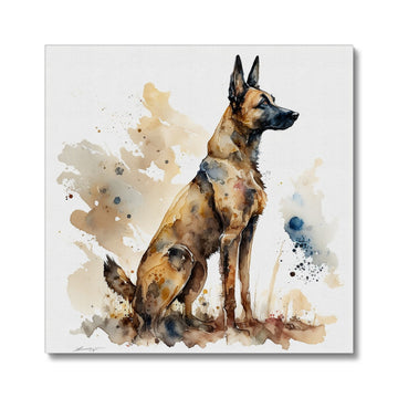 Belgian Malinois 'Watercolour Collection' Canvas