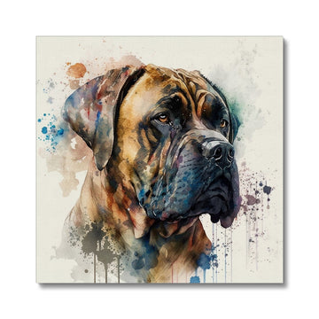 Boerboel Pet Portrait 'Watercolour Collection' Canvas