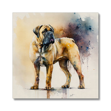 Boerboel Pet Portrait 'Watercolour Collection' Canvas