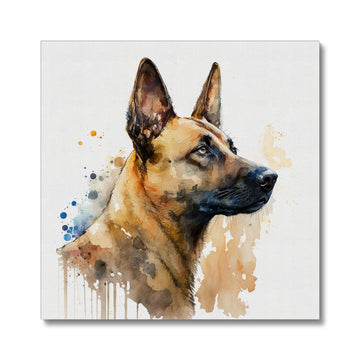 Belgian Malinois 'Watercolour Collection' Canvas