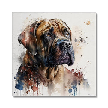 Boerboel Pet Portrait 'Watercolour Collection' Canvas