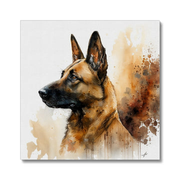 Belgian Malinois 'Watercolour Collection' Canvas