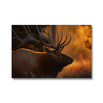 Bull Elk Landscape 'Natural Collection' Canvas