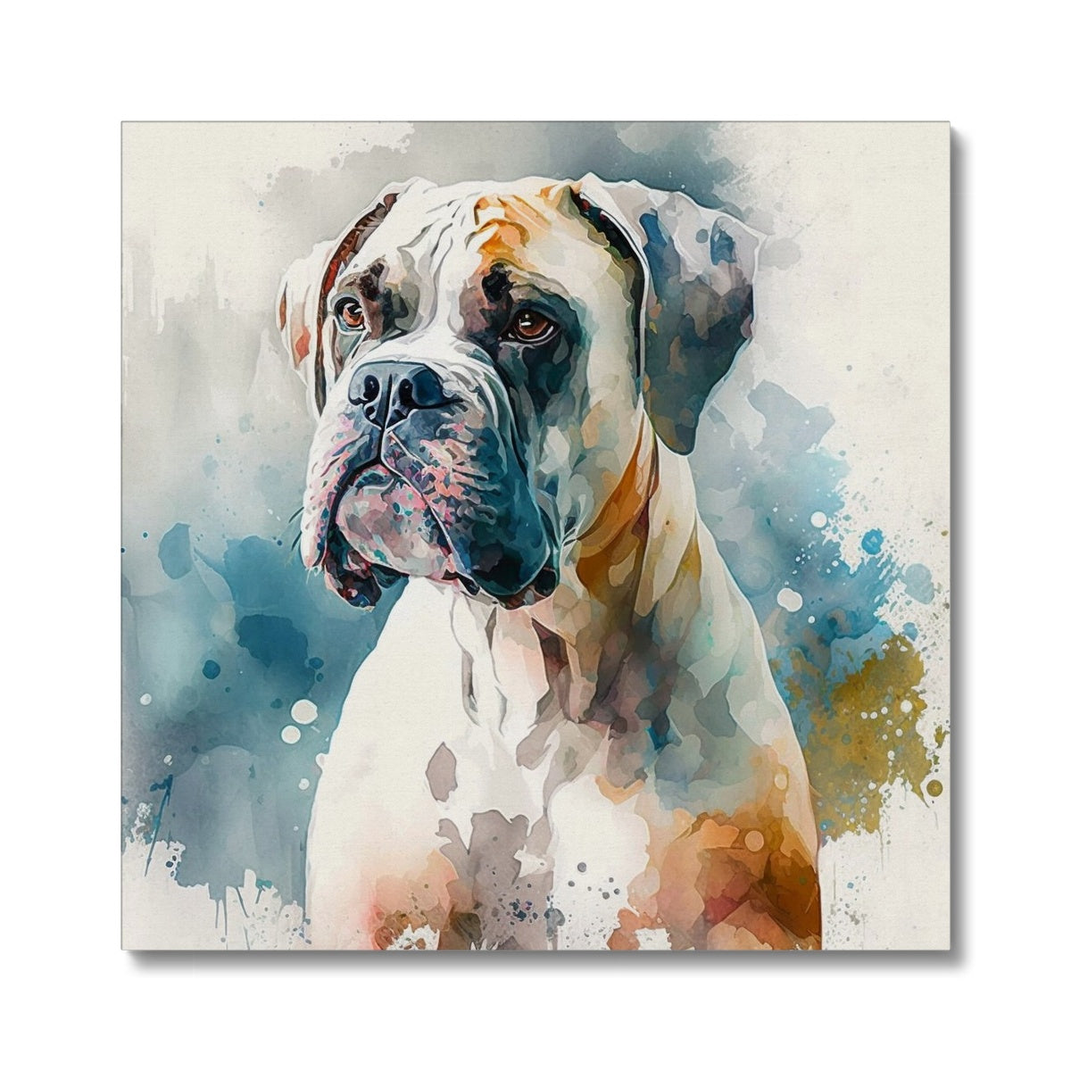 Boxer 'Watercolour Collection' Canvas