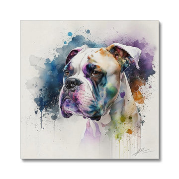 Boxer 'Watercolour Collection' Canvas