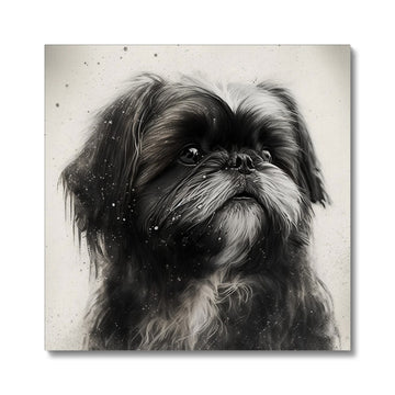 Shih Tzu 'Charcoal Collection' Canvas