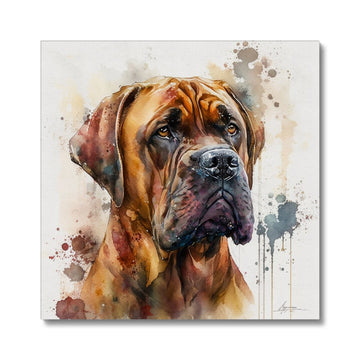 Boerboel Pet Portrait 'Watercolour Collection' Canvas