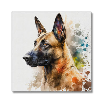 Belgian Malinois 'Watercolour Collection' Canvas