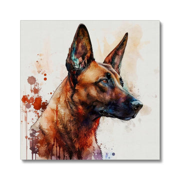 Belgian Malinois 'Watercolour Collection' Canvas