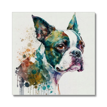 Boston Terrier 'Watercolour Collection' Canvas