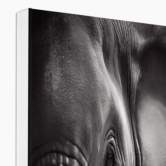 Elephant Landscape 'Black and White Collection' Canvas