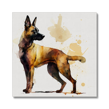 Belgian Malinois 'Watercolour Collection' Canvas