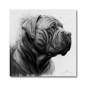 Chinese Shar-Pei 'Charcoal Collection' Canvas