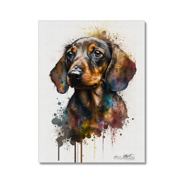 Dachshund 'Watercolour Collection' Canvas