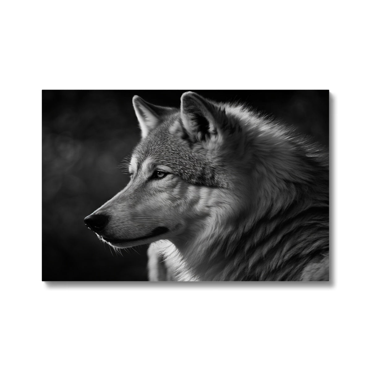 Wolf Landscape 'Black and White Collection' Canvas